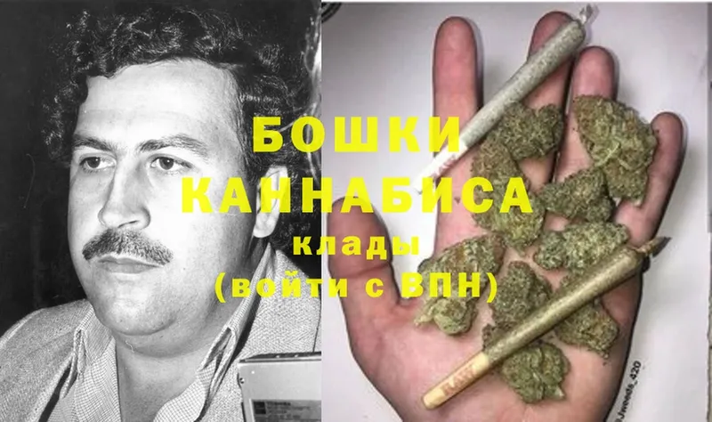 Шишки марихуана SATIVA & INDICA  Пушкино 